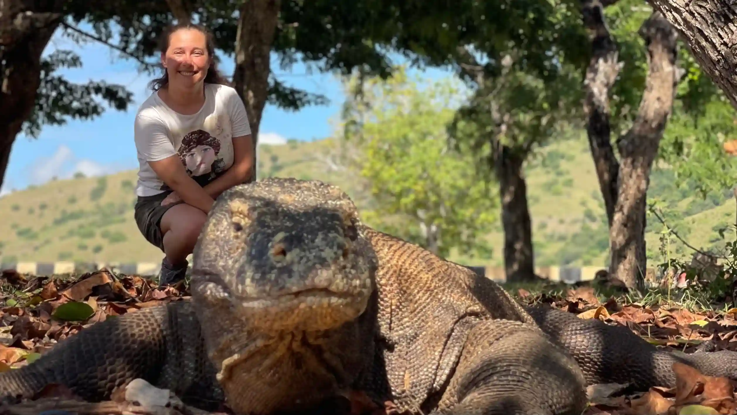 Komodo Dragon — Komodo National Park