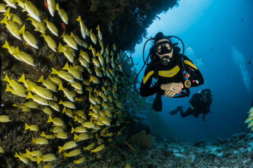 Coral reef snorkeling