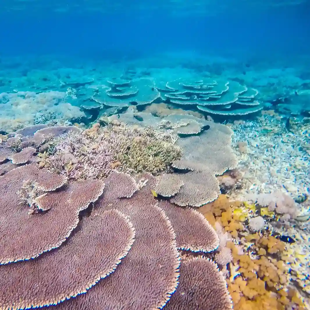 Phinisi Lamima At Sea — Komodo National Park, by our operator Komodo Luxury