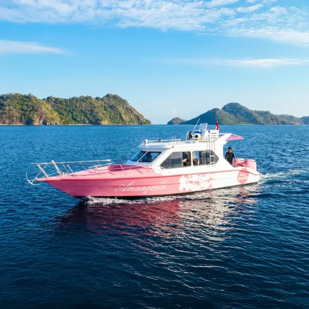 Day Tour Amanqilla — Komodo National Park