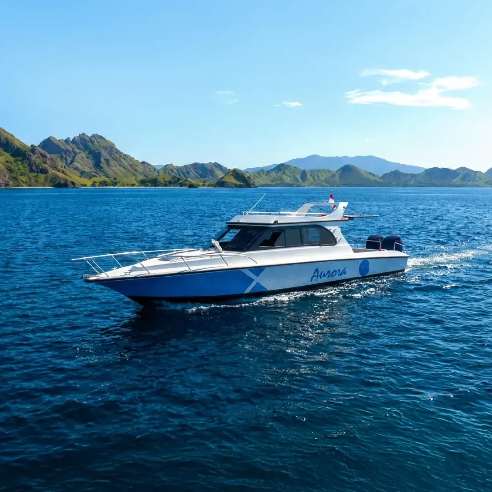 Day Tour Aurora — Komodo National Park