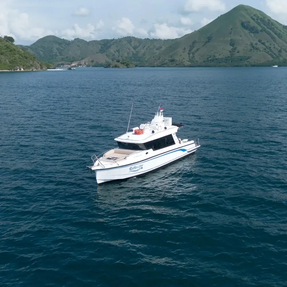 Day Tour Raffles One — Komodo National Park, by our operator Komodo Luxury