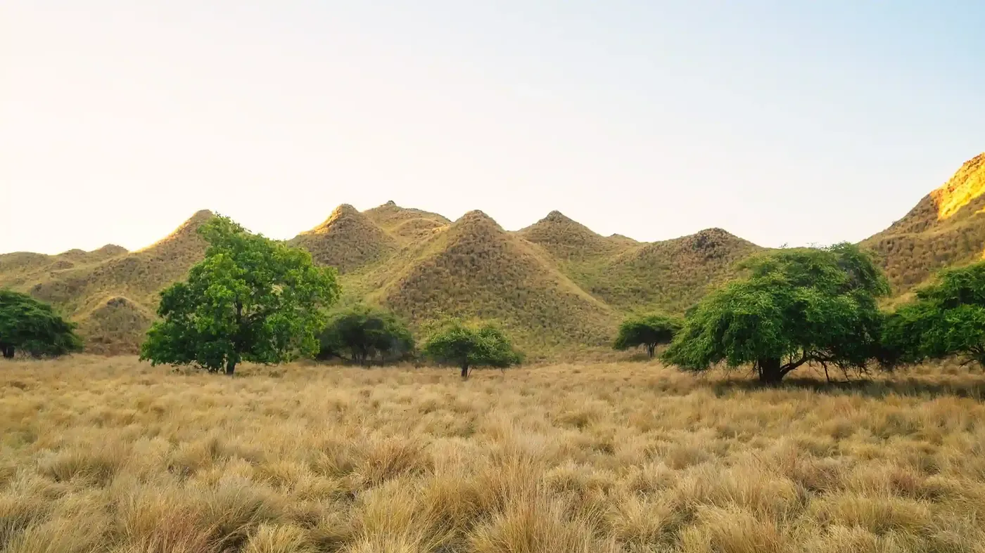 Gili Lawa Hilltop Viewpoint — Komodo National Park