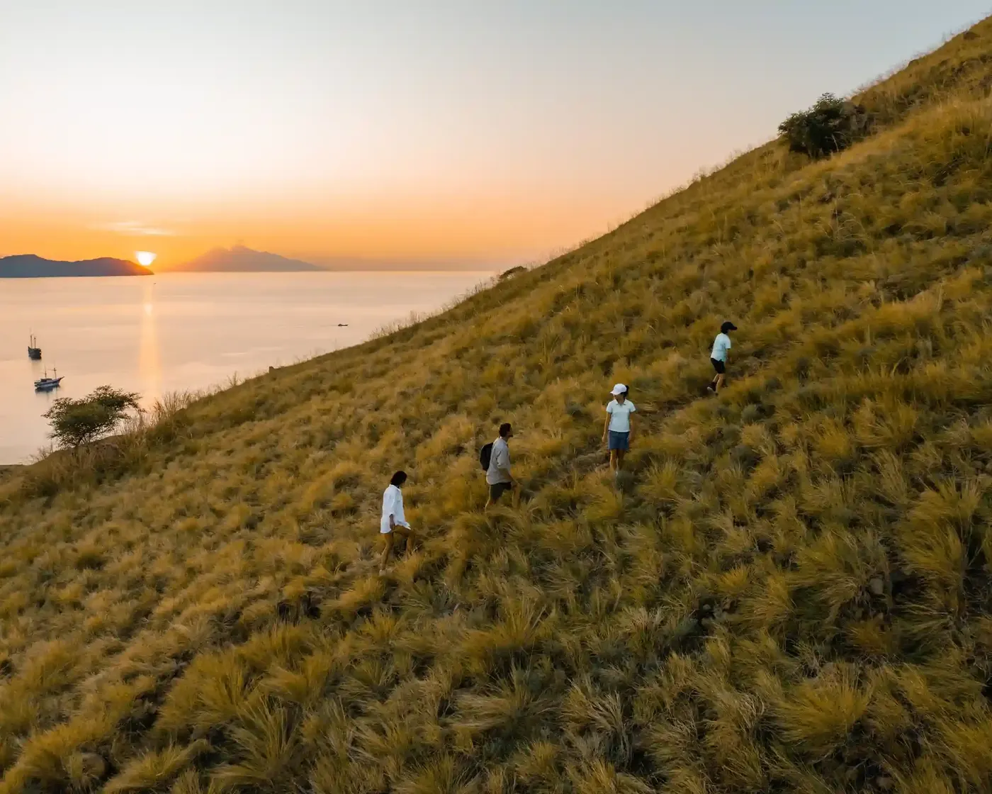 Guests Island Excursion Celestia — Komodo National Park, by our operator Komodo Luxury