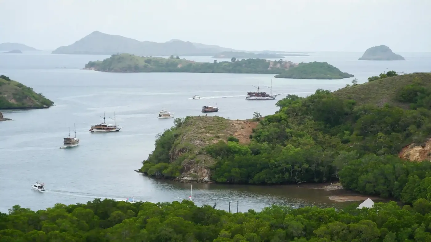 How To Visit Rinca Island With — Komodo National Park, by our operator Komodo Luxury