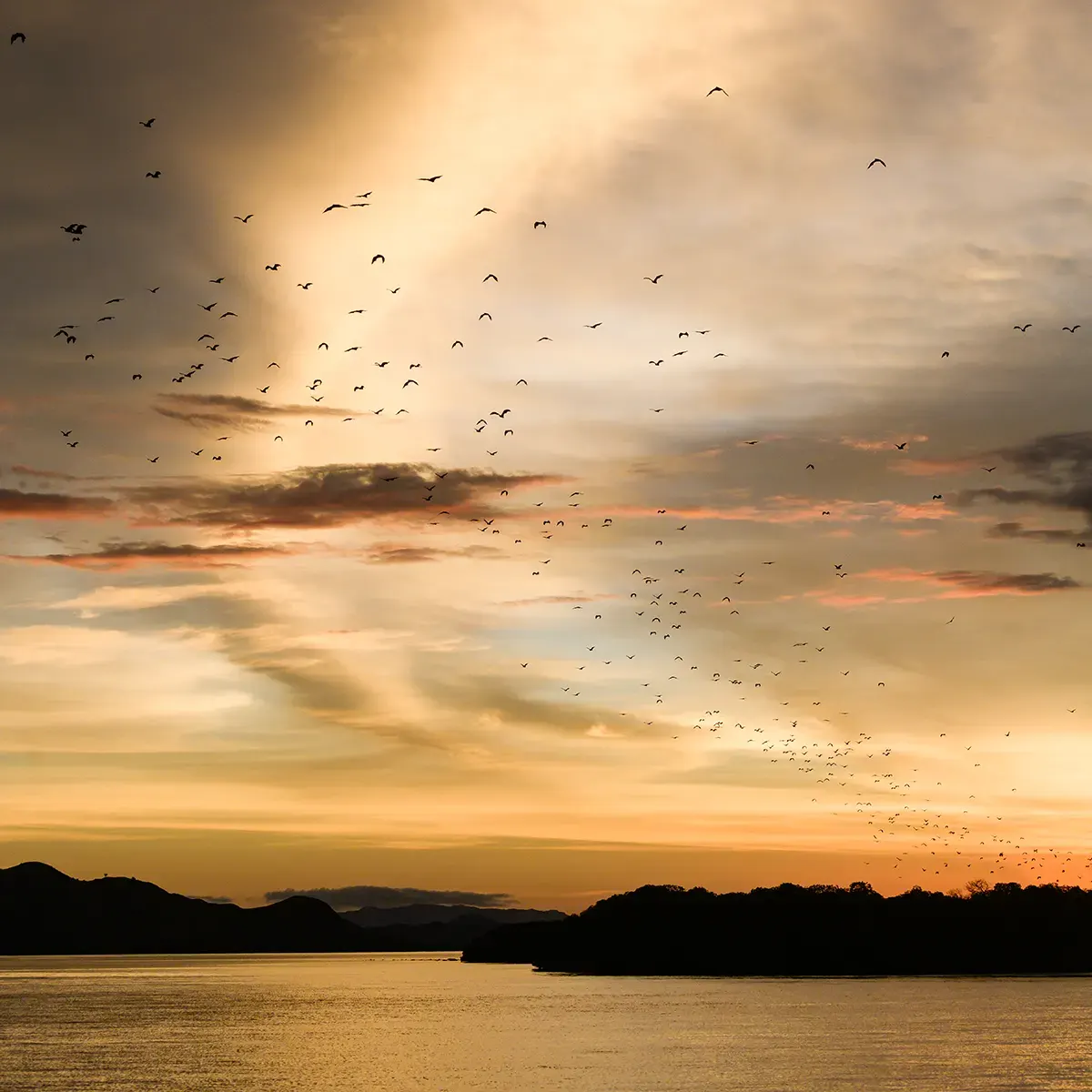 Kalong Island In Labuan Bajo — Komodo National Park