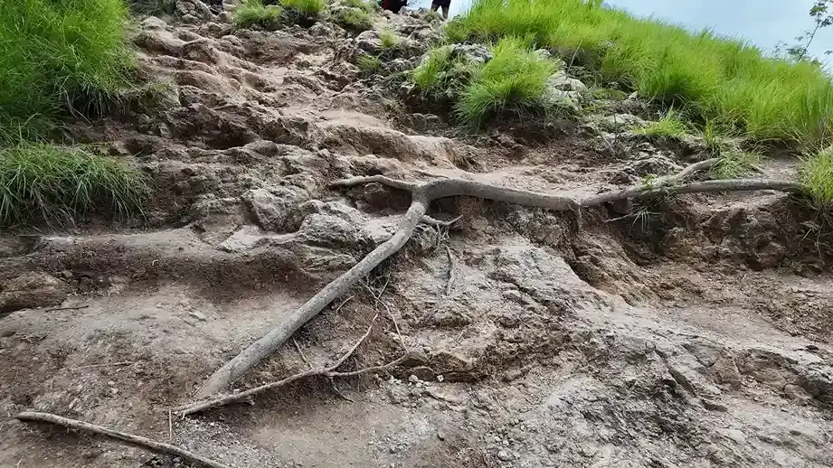 Kelor Trekking Trail — Komodo National Park