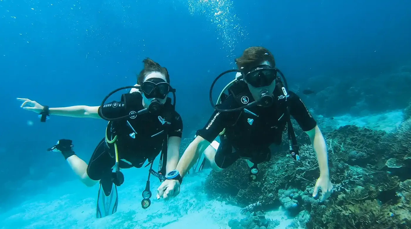 Komodo Diving — Komodo National Park