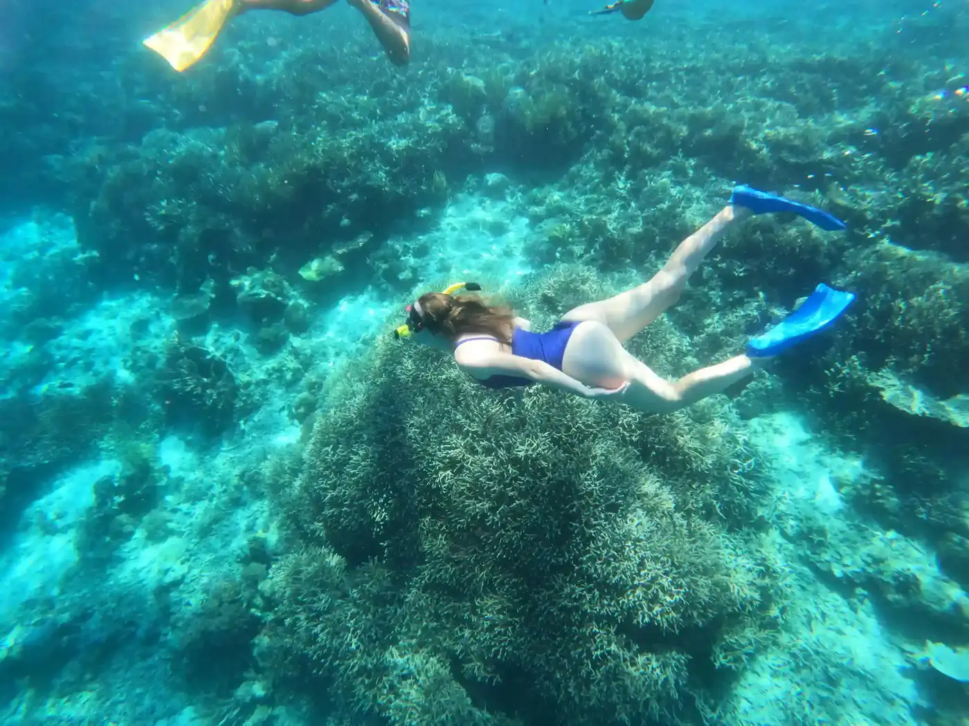 Komodo Snorkeling — Komodo National Park