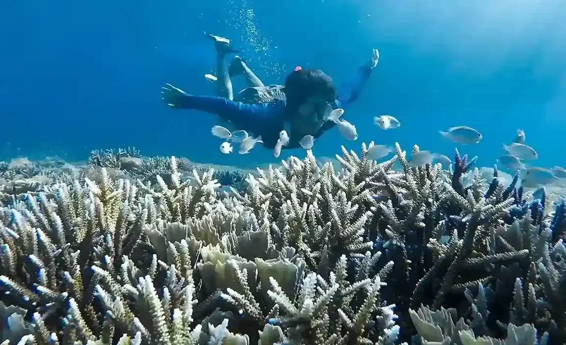 Labuan Bajo Sebayur Island — Komodo National Park