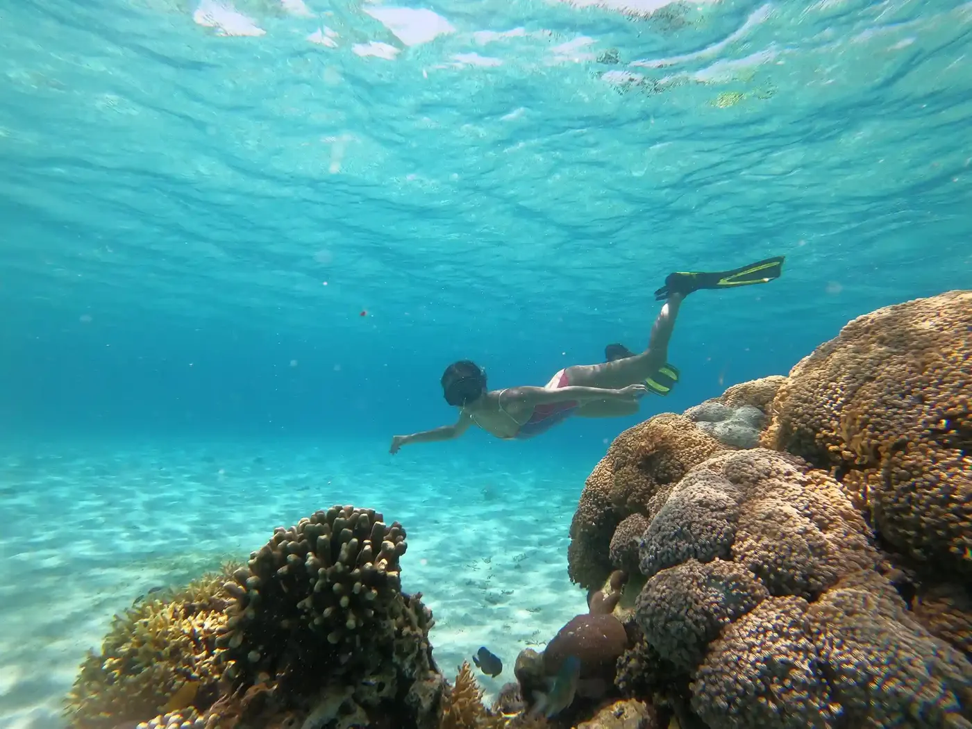 Labuan Bajo Siaba Island &mdash; Taman Nasional Komodo, oleh operator kami Komodo Luxury