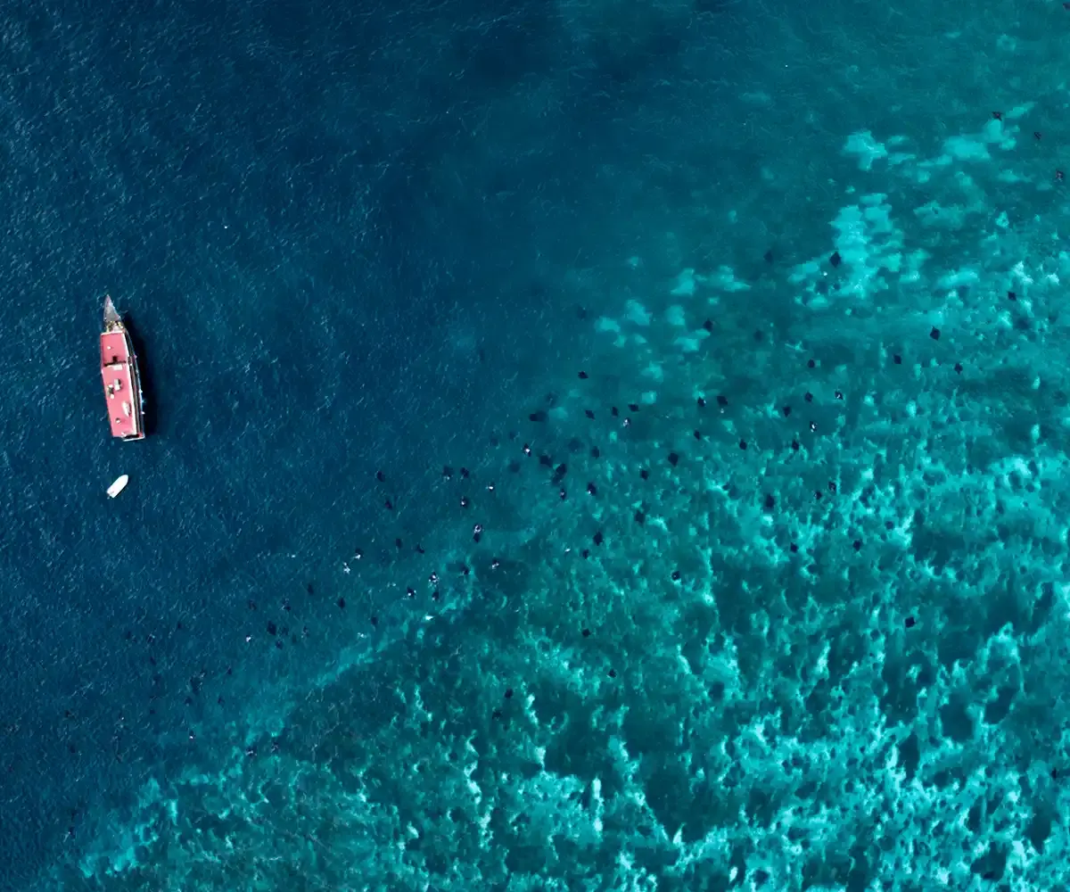Manta Point Komodo From The Drone View — Komodo National Park