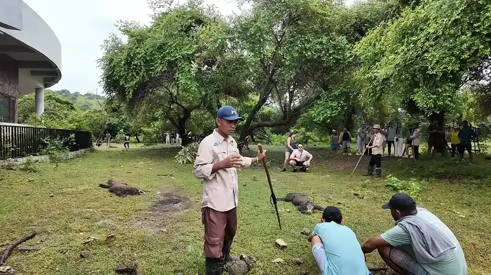 Naturalist Guide At Rinca Island Komodo Island — Komodo National Park, by our operator Komodo Luxury