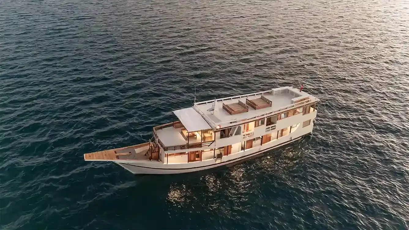 Open Trip Ayvara Cruises &mdash; Taman Nasional Komodo, oleh operator kami Komodo Luxury