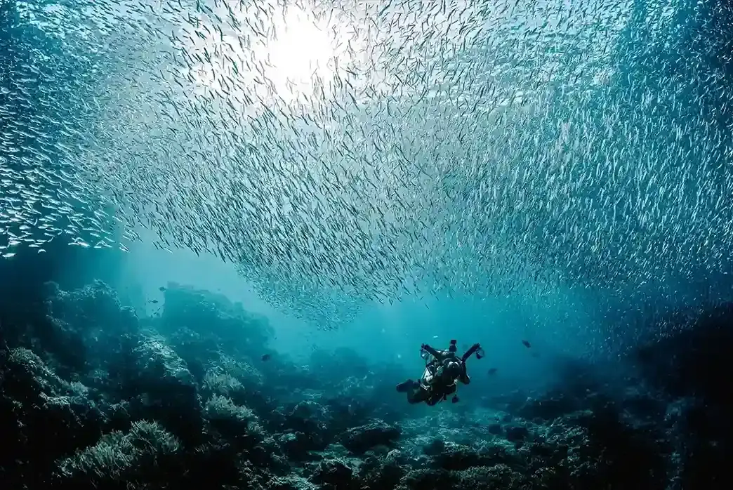 Phinisi Sailing Komodo 5 — Komodo National Park