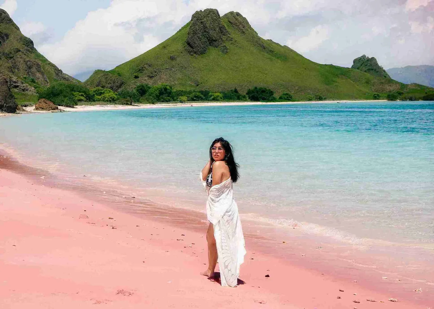 Pink Beach Long Beach On Komodo Island — Komodo National Park