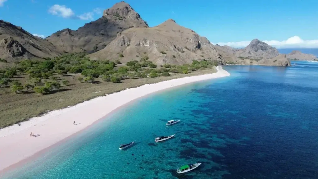 Pink Beach On Komodo National Park Komodo Island — Komodo National Park