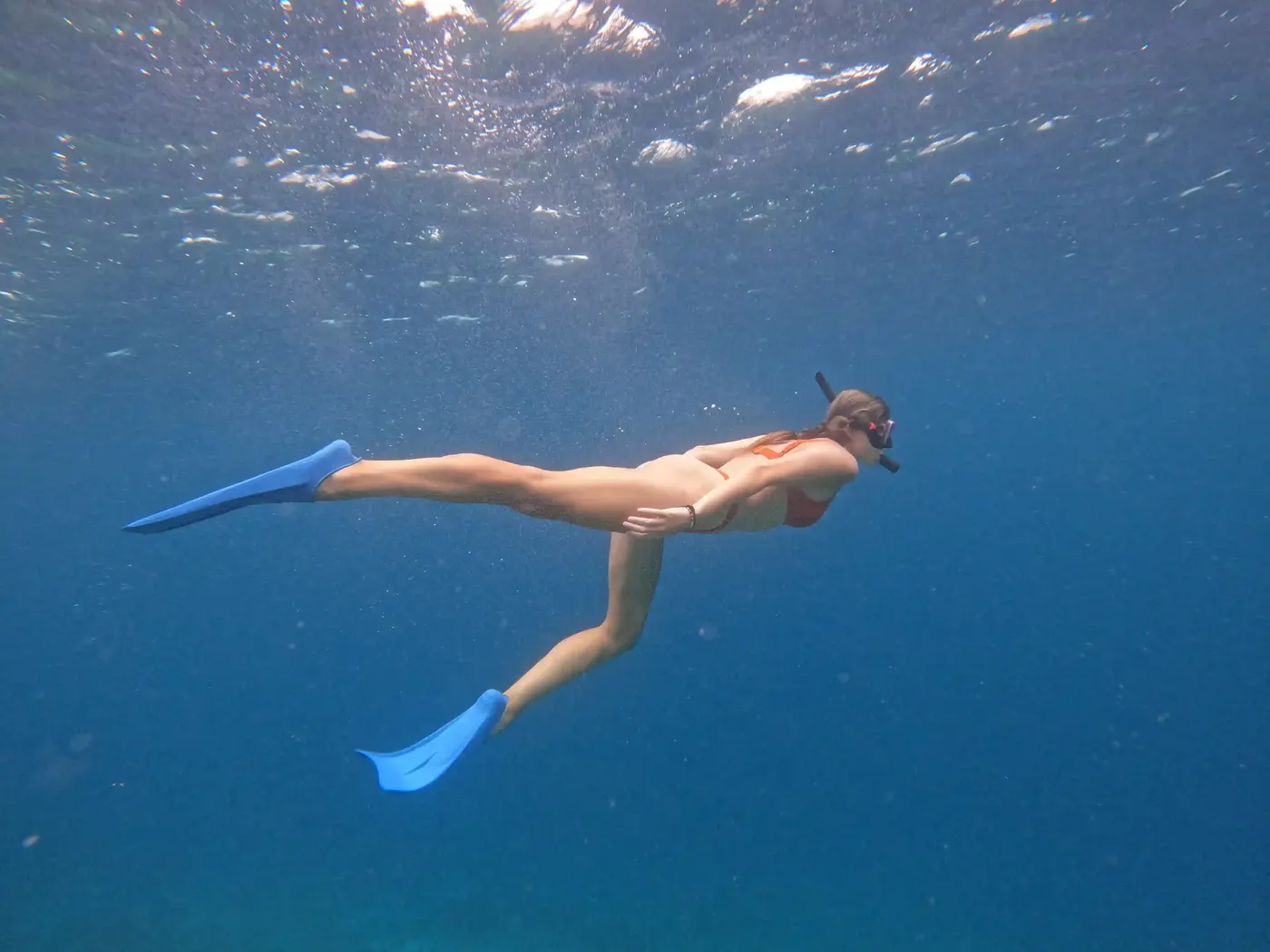 Snorkeling Coral Reef Komodo — Komodo National Park, by our operator Komodo Luxury