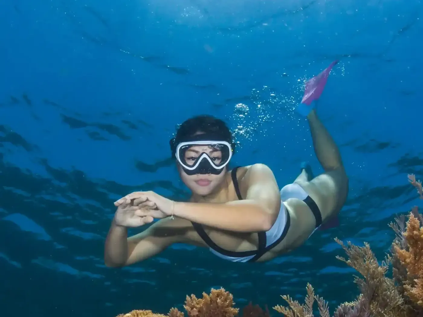 Snorkeling Diving In Komodo Island Labuan Bajo — Komodo National Park