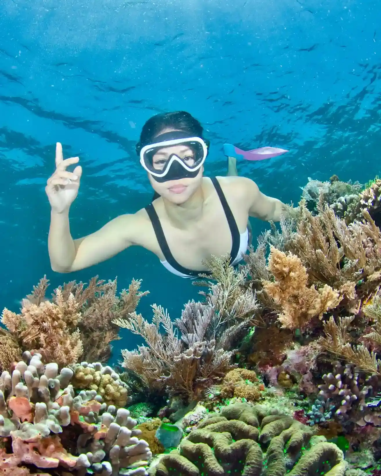 Snorkeling Labuan Bajo Water Activities — Komodo National Park, by our operator Komodo Luxury
