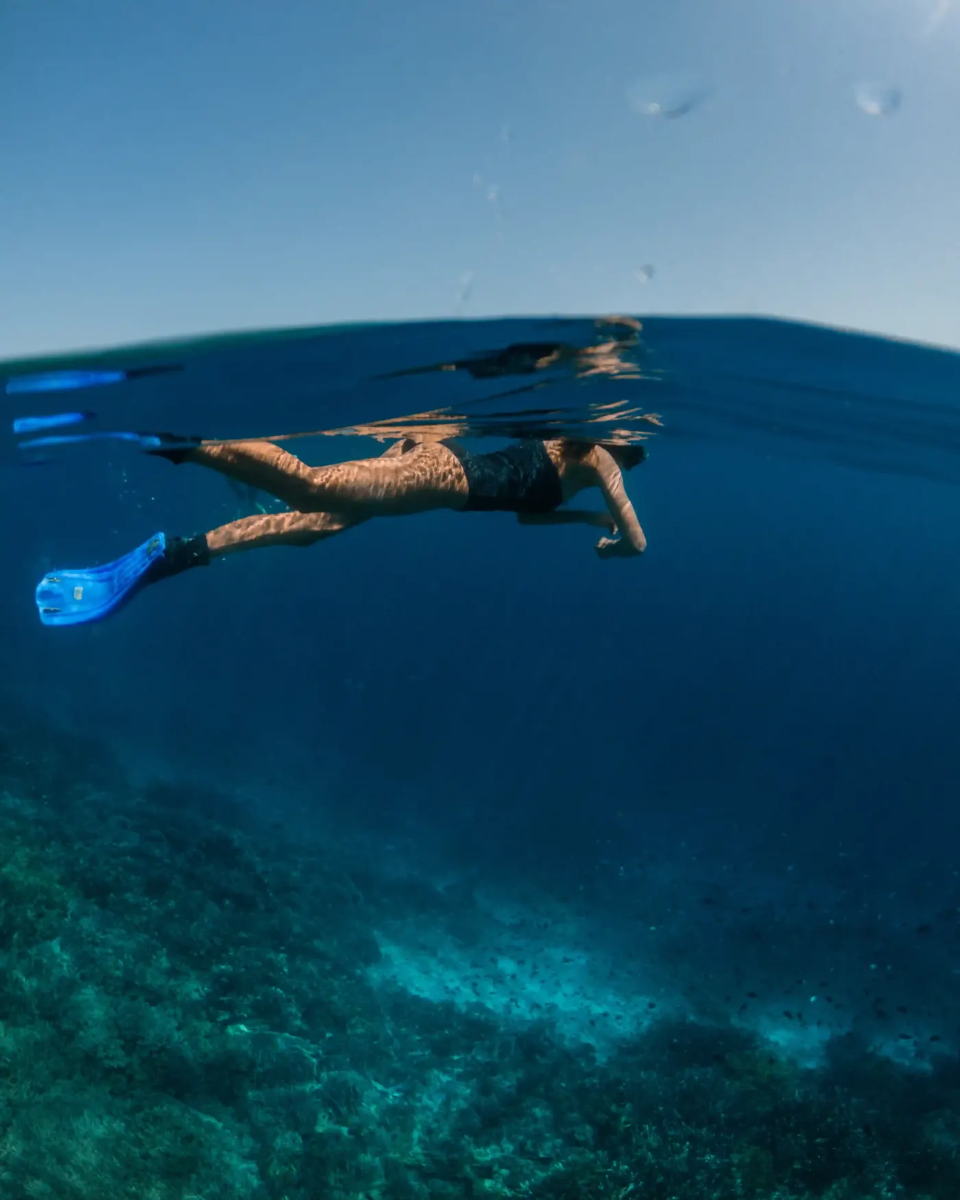 Snorkeling Reef Raja Ampat — Komodo National Park, by our operator Komodo Luxury