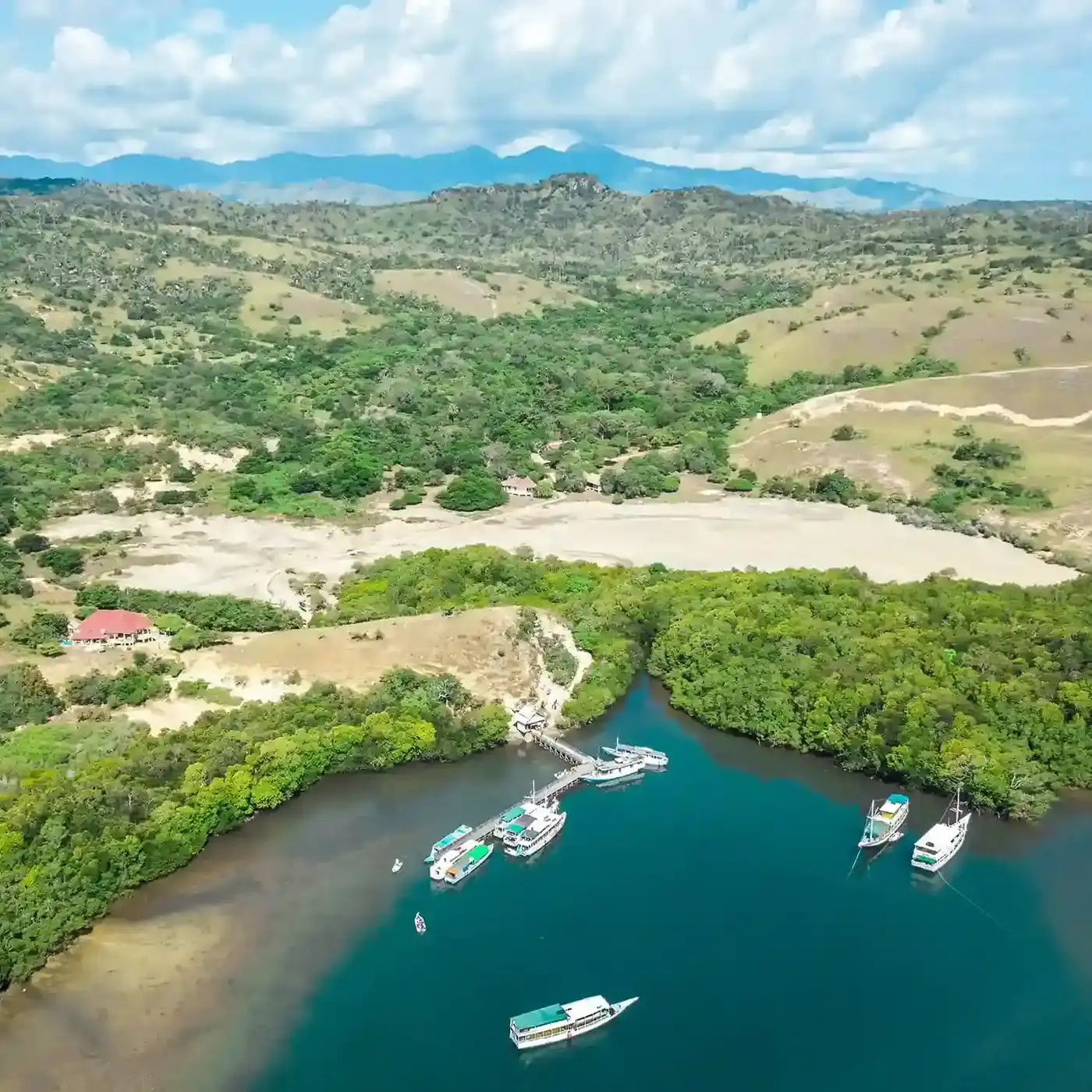 Why Rinca Island Is A Must Visit — Komodo National Park